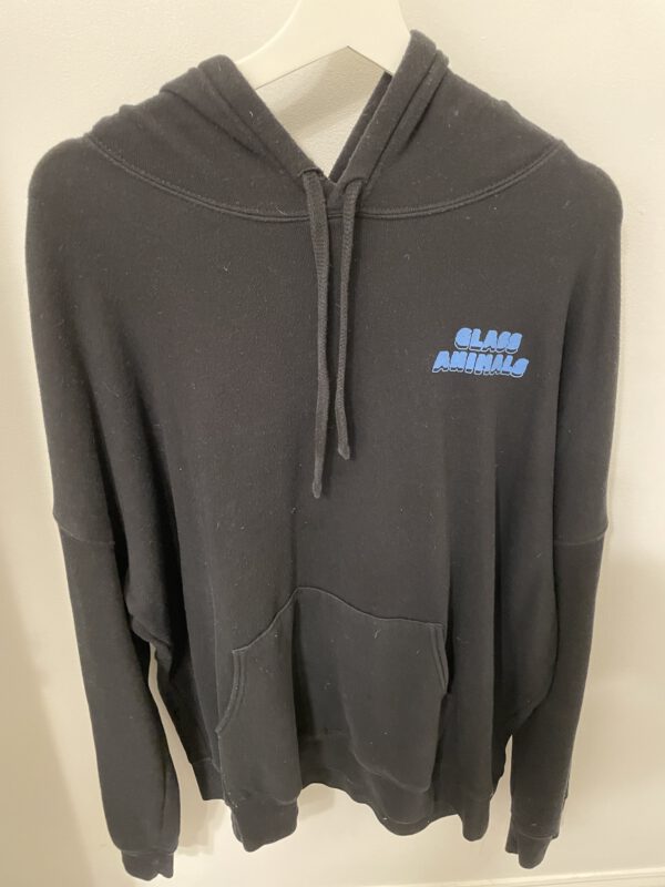 Glass Animals Dreamland tour hoodie