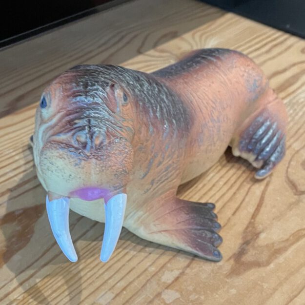 The Wobbly Walrus